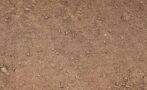 JENNYS DIRT WINE