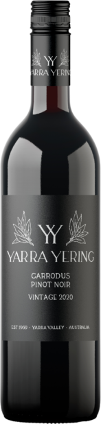 Yarra Yering "Carrodus" Pinot Noir 2020